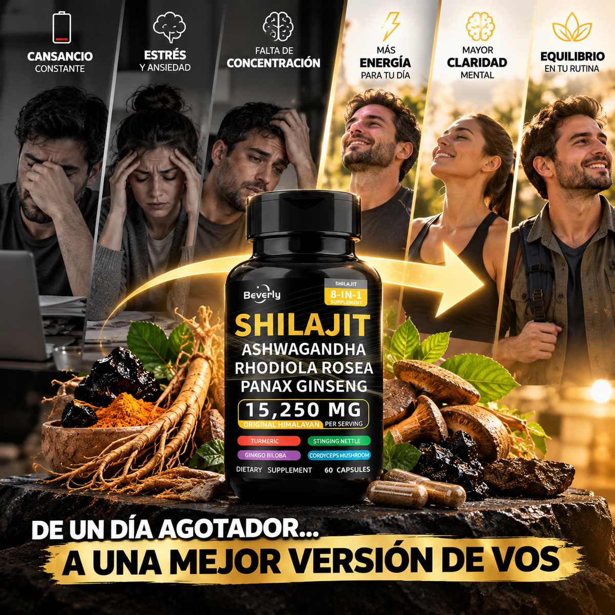 SHILAJIT 8 EN 1